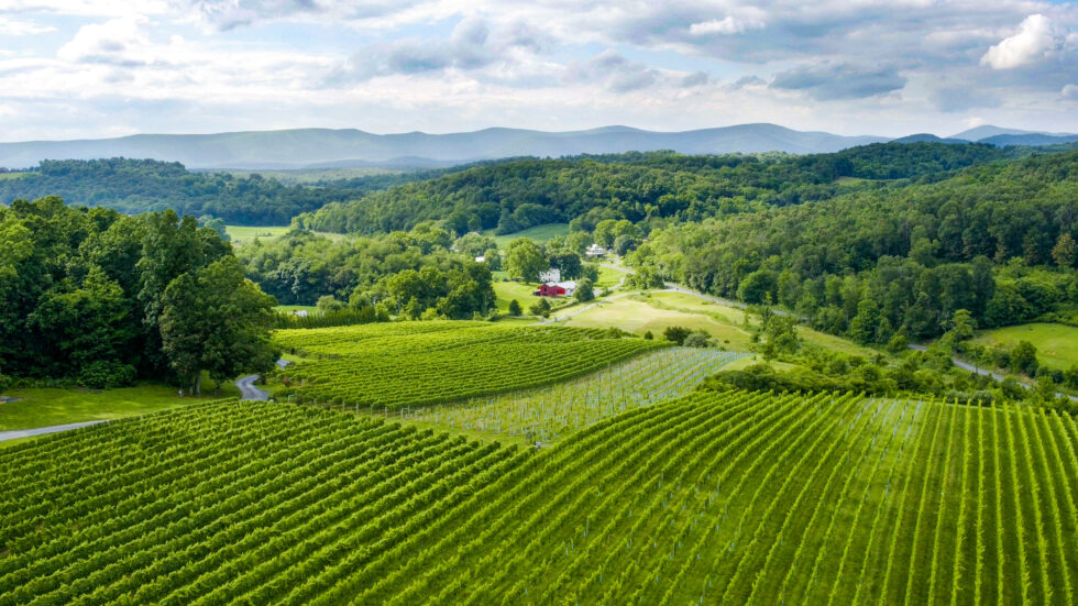 ShenandoahCounyWineryAerial