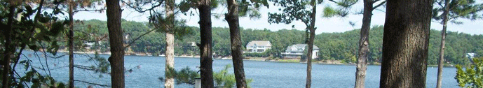 Lake Holiday banner