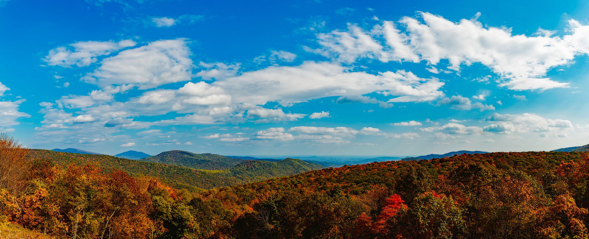 Fall in the Valley