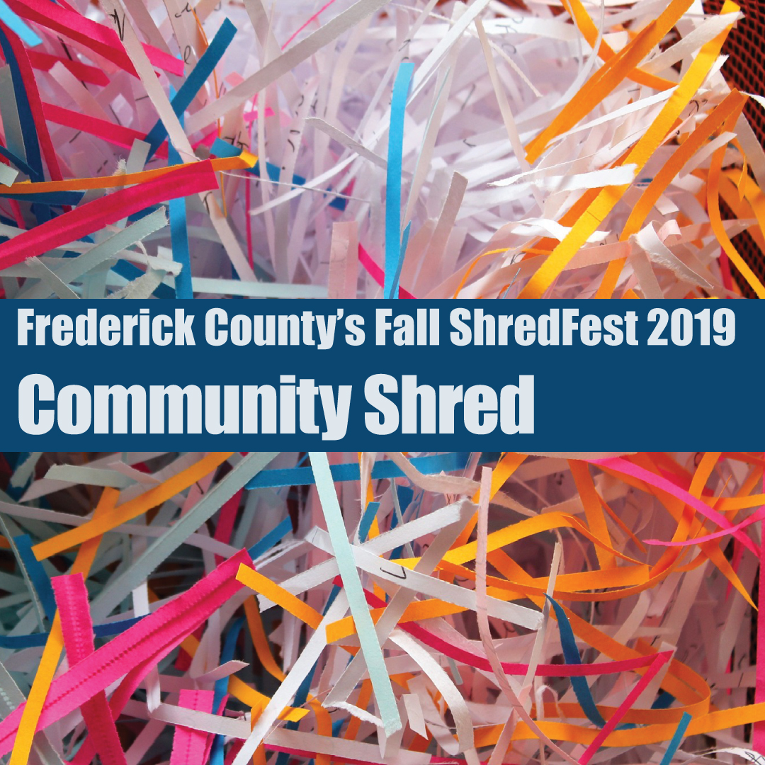 shredfest